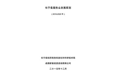 長(cháng)甯縣經濟商務信息化(huà)和(hé)科(kē)學技(jì)術局服務業(yè)發展規劃項目